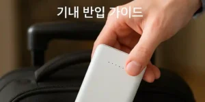대한항공 배터리 규정